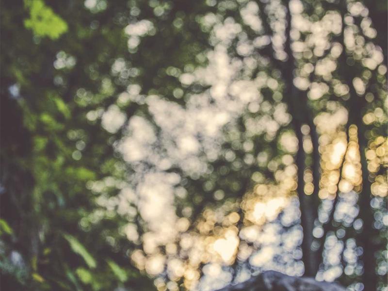 社交恐惧症<br>aamotnk.cn 眼神回避训练